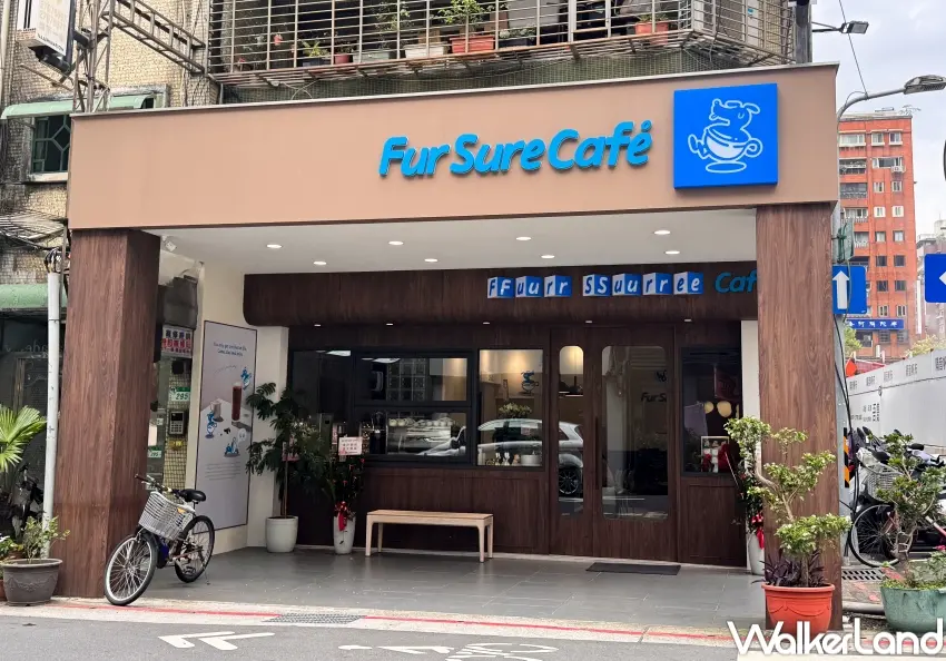 ▲Fur Sure Café以木質空間搭配插畫狗狗元素設計，從牆面到燈箱都有滿滿療癒感，成為熱門打卡咖啡廳。（攝影：張人尹）