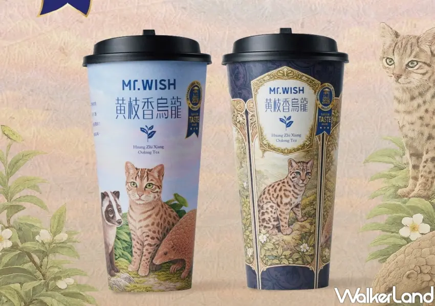 ▲Mr.WISH同步推出全新「黃枝香烏龍」紙杯設計,以茶園與生態元素打造新風格。(攝影:張人尹)