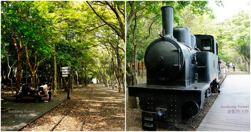▲園區內至今仍保留舊鐵道、小火車等林業設施,讓旅人能一窺羅東昔日林業發展的歷史軌跡。