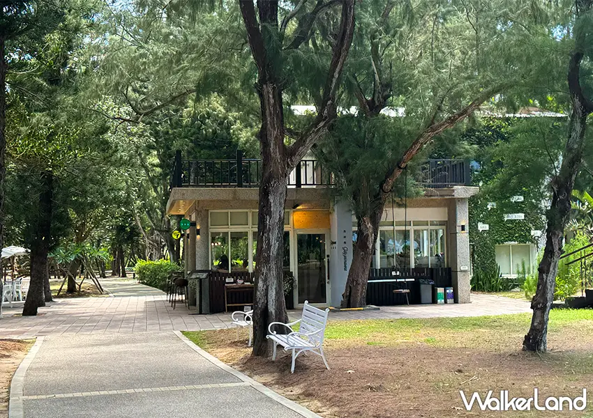 ▲澎湖最美海景咖啡廳「及林春咖啡館」隱身於綠意盎然的林投公園黑松林內,展現獨特的森林系咖啡廳氛圍(攝影:蕭芷琳)