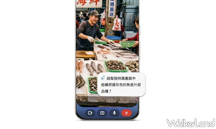 ▲在熱鬧的魚貨攤位前,只要善用Gemini Live功能將鏡頭對準眼前的海鮮,就能即時辨識品種並掌握部位保育知識 。
圖/Google提供;窩客島編輯李維唐整理