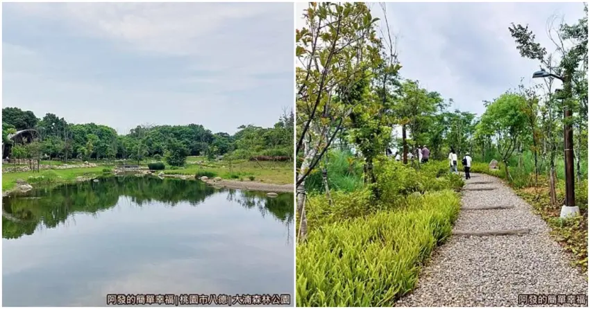 ▲大湳森林公園綠意盎然,沿著步道散步就能欣賞湖景與林蔭,讓孩子盡情放電。