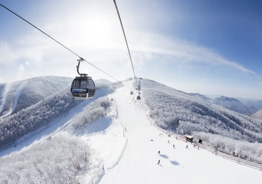 ▲High1度假村提供頂級的冬季滑雪行程，搭乘高空纜車就能輕鬆把銀白雪景盡收眼底。