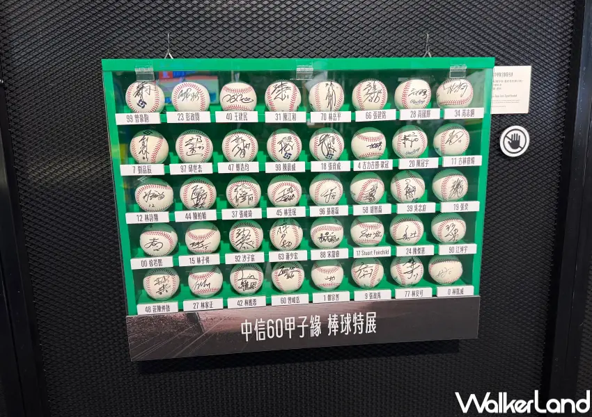 ▲南港棒球特展免費逛！展出世界棒球經典賽事球衣、全隊員簽名球等。(攝影：鄭亦庭)