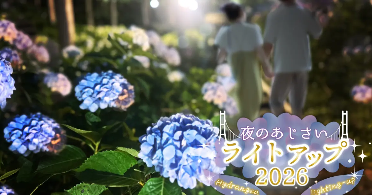 富士山+繡球花太犯規！ 1.3萬株繡球花在靜岡三島Sky Walk吊橋繡球花祭，限定甜點、夜間點燈、繡球花傘都是拍照重點。