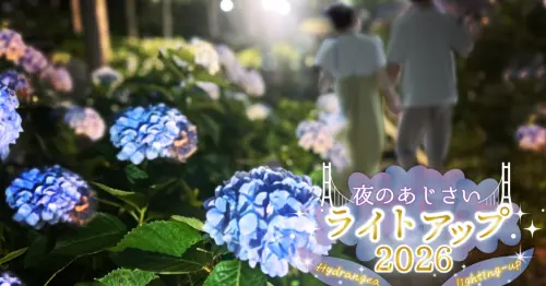 富士山+繡球花太犯規！ 1.3萬株繡球花在靜岡三島Sky Walk吊橋繡球花祭，限定甜點、夜間點燈、繡球花傘都是拍照重點。