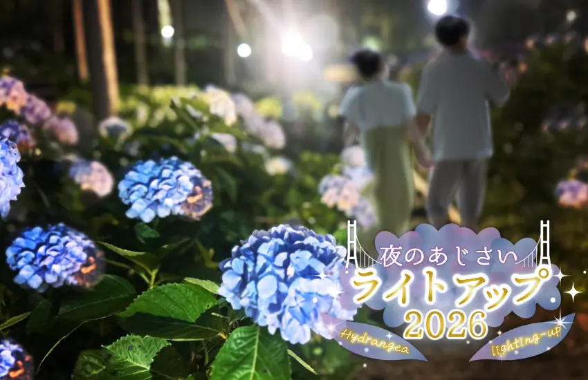 ▲夜間點燈在6月19日至7月5日每週五六日舉辦，共9天。