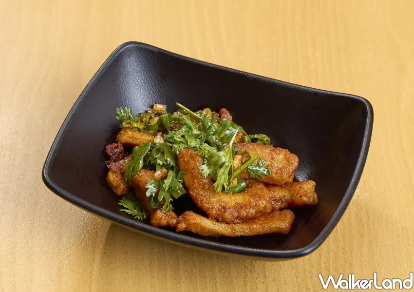 ▲壽司郎引進生食級赤魷特製的「麻辣酥炸赤魷」，鹹香麻辣的花椒與香菜風味讓人越吃越涮嘴。