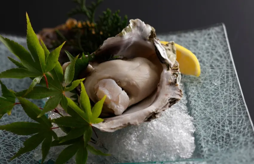 ▲大顆飽滿的岩牡蠣,入口盡是無法言喻的濃郁海味與如鮮奶油般絲滑的口感。