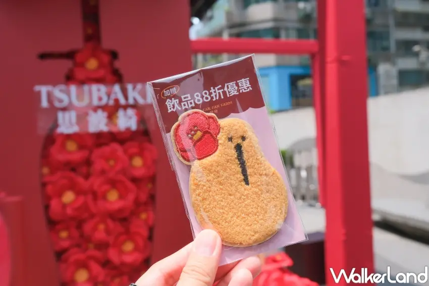 ▲發發與思波綺 TSUBAKI聯名組合加贈奇異鳥髮貼與88折優惠券，寶雅通路組合限定。（攝影：張人尹）