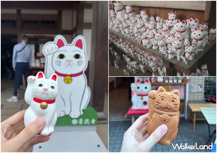 ▲順遊豪德寺一次收藏「雙貓」一日遊,招福貓海與貓咪雞蛋糕都是這趟路線必拍、必吃的亮點。(攝影:陳怡吟)