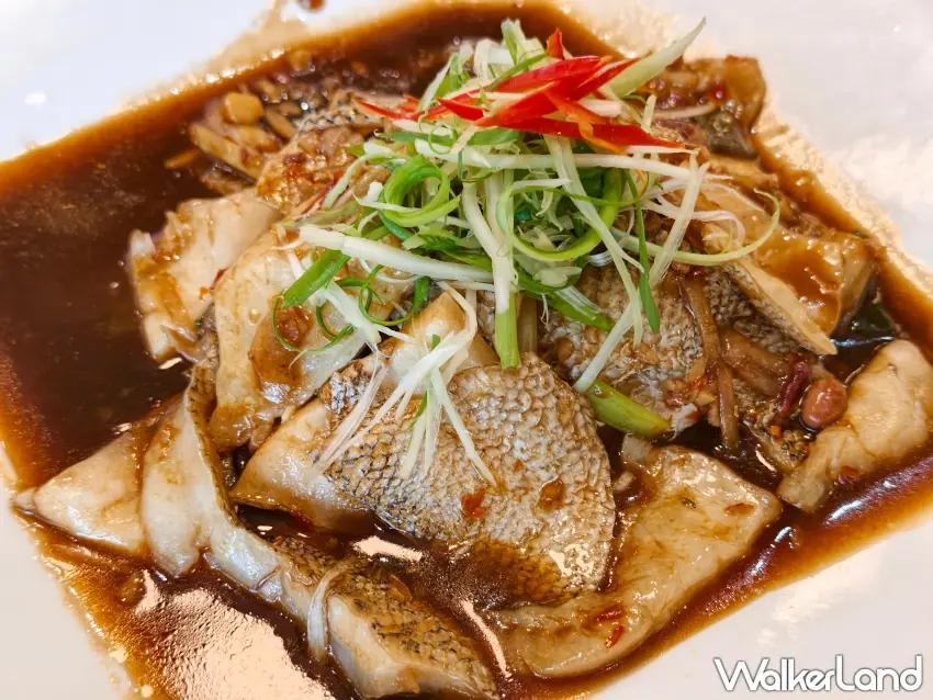 ▲豐腴肥美的「清蒸貴妃魚」同樣是不容錯過的招牌料理。(攝影:楊婷雅)