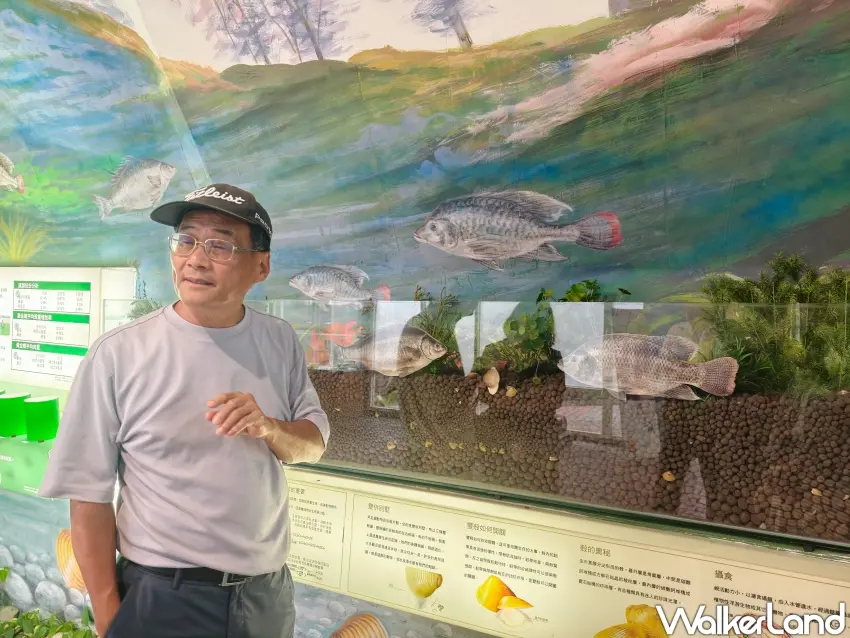 ▲「立川漁場」蔡老闆在蜆之館導覽黃金蜆的科學食育奧秘。(攝影:楊婷雅)