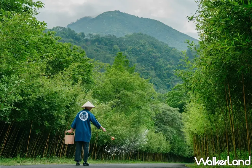 ▲歡慶開業七周年的日式傳統灑水迎賓體驗近景,讓人感受純粹清涼與極致的款待之道。圖/虹夕諾雅谷關提供;窩客島編輯李維唐整理