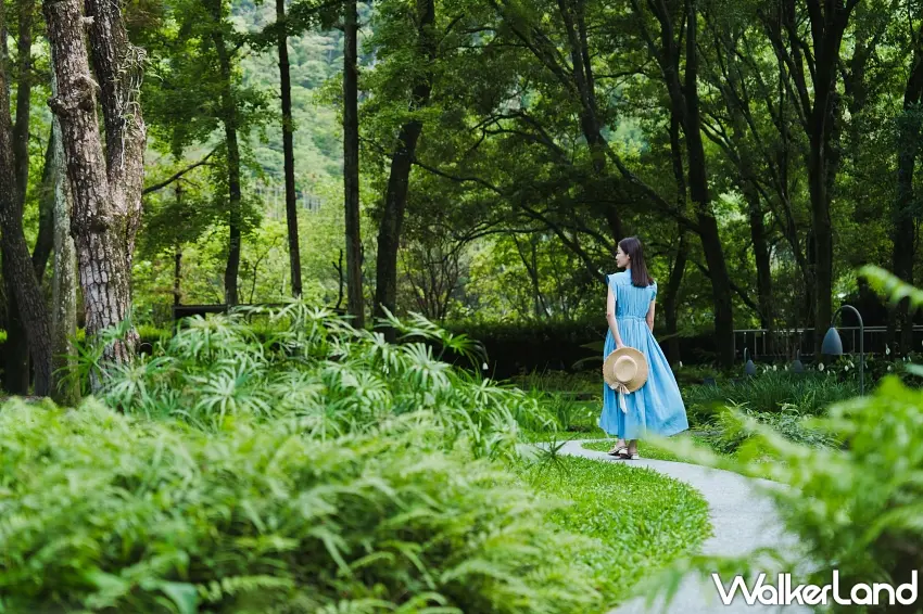 ▲旅人漫步在度假村內宛如隱世秘境的蜿蜒水之庭園,在靜謐的山嵐光影時光中重拾生活的動。圖/虹夕諾雅谷關提供;窩客島編輯李維唐整理