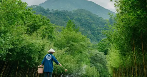 台中避暑溫泉首選！虹夕諾雅 谷關夏季限定山峠涼泉37度微溫浴奢華登場。