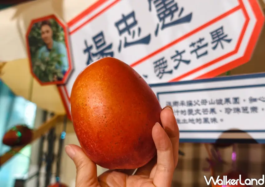 ▲脆上爆紅的人氣小農楊忠憲現身,這次他帶著本業屏東枋山愛文芒果強勢登場,是夏天芒果季必買的消暑聖品。(攝影:鄭雅之)