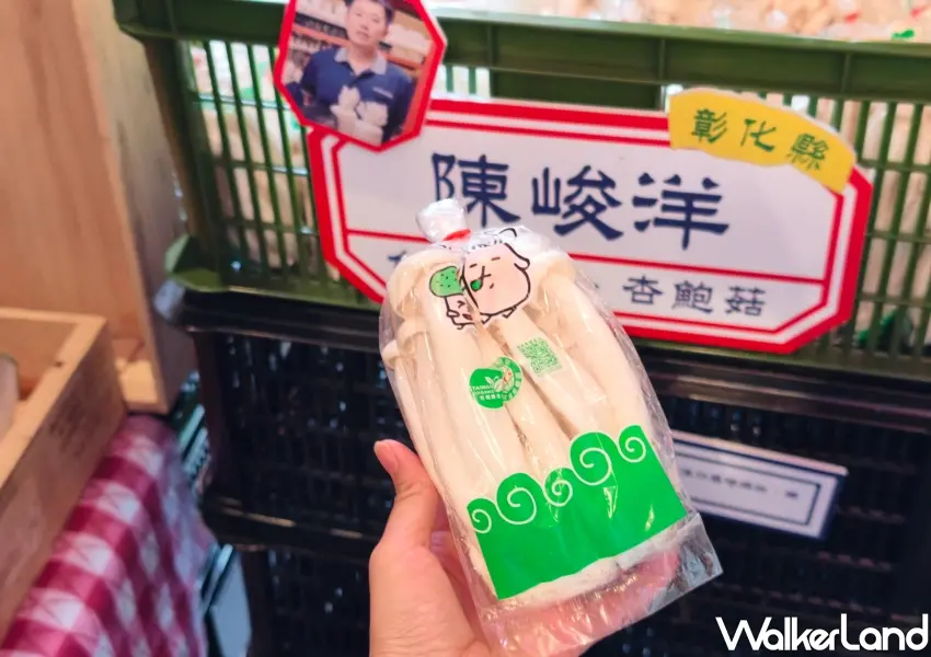 ▲彰化菇農陳峻洋將舊工廠改造成頂級環控植物工廠,不使用農藥與肥料,培育出零負評有機白精靈菇。(攝影:鄭雅之)
