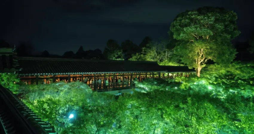 ▲通天橋在夜間點燈下呈現出與白天截然不同的神祕姿態。