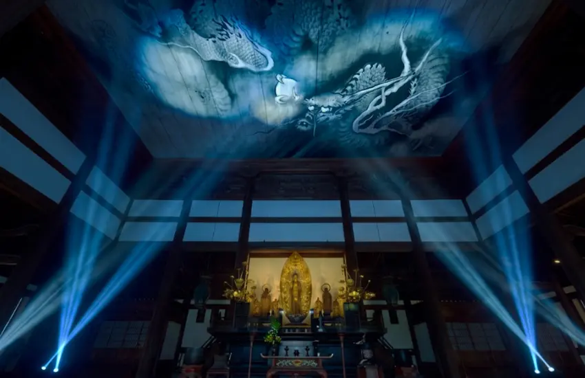 ▲頂級夜間拜觀才能一睹的限定奇景。