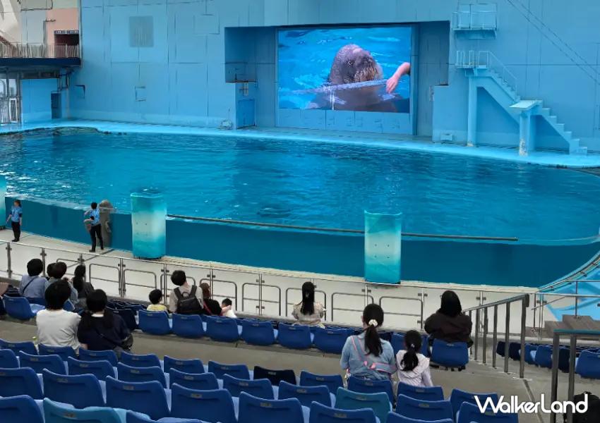 ▲園區內還有多場精彩表演與活動,建議入園後先確認演出時間,再安排賞花、水族館與遊樂設施的路線。
