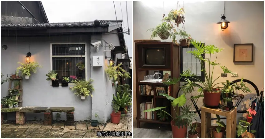 ▲「山吹舍」藏身北埔老街巷弄間,老宅空間以綠植與復古老物件點綴,午後來杯手沖咖啡格外愜意。