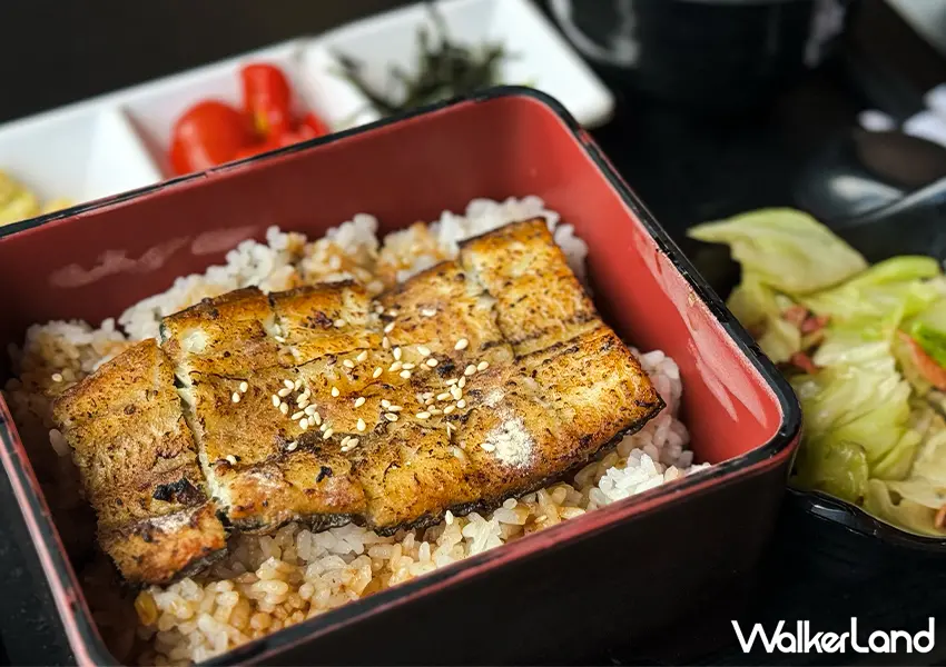 ▲宜蘭礁溪美食「熳老爺」龍眼木炭烤白燒鰻魚蓋飯,外皮酥脆魚肉鮮嫩(攝影:蕭芷琳)