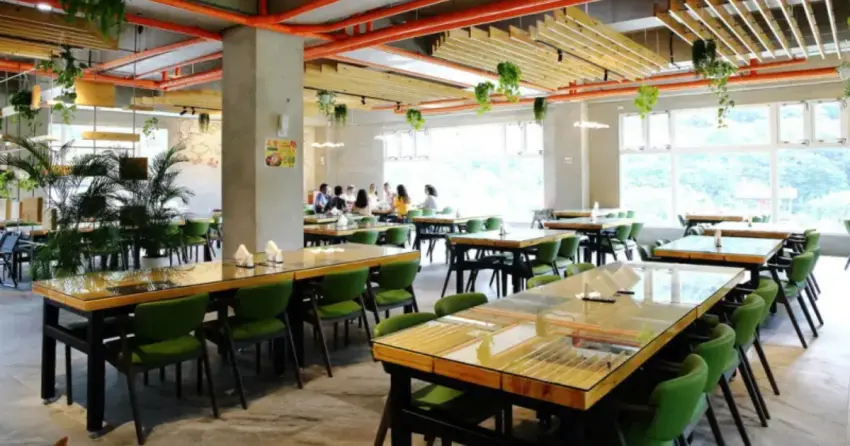 ▲「亮山川」以景觀餐廳著稱,大片玻璃窗引入自然光,搭配室內綠植點綴,氛圍頗為愜意。