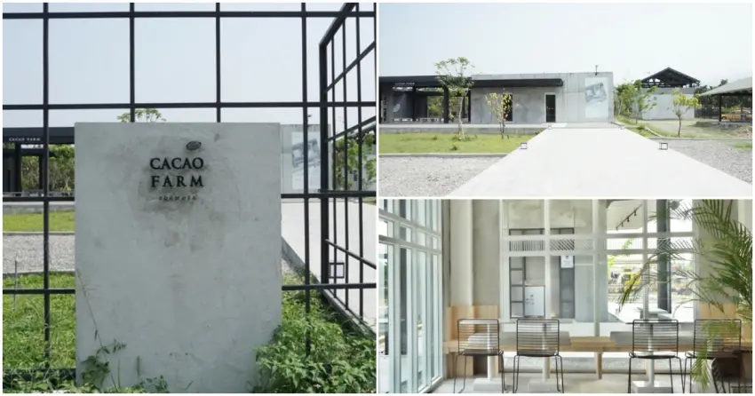 ▲「福爾摩莎可可農場」以簡約清水模建築打造高質感空間,灰白色系搭配大片玻璃窗,明亮空間相當好拍。