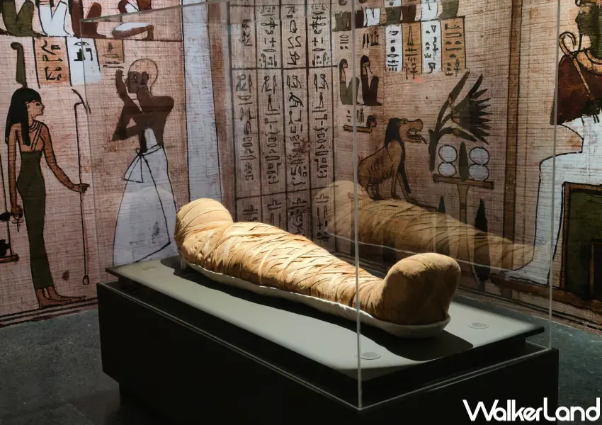 ▲真的埃及木乃伊來台!歷史博物館《埃及木乃伊—永生傳說》特展展出木乃伊真跡。(攝影:鄭亦庭)