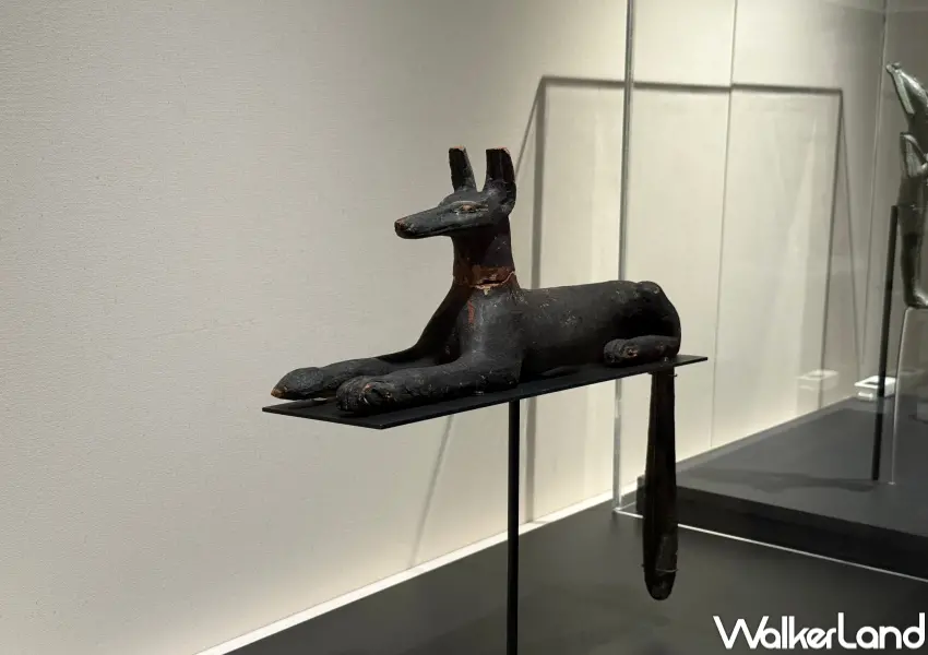 ▲歷史博物館埃及木乃伊特展必拍阿努比斯雕像。(攝影:鄭亦庭)