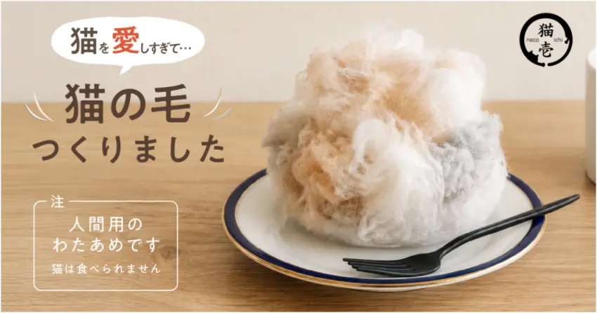 貓奴集體瘋狂！貓壹橫濱店限定推出超擬真貓毛棉花糖：混入跳跳糖的奇妙空氣感食感。