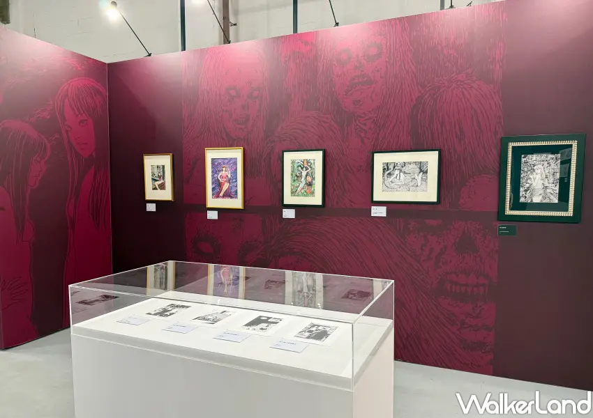 ▲伊藤潤二首場海外大型原畫展《伊藤潤二展 誘惑》於松菸展出至9/28,超過300幅複製原畫、富江周邊小物一次看。(攝影:鄭亦庭)