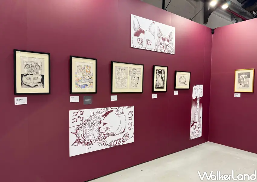 ▲伊藤潤二首場海外大型原畫展《伊藤潤二展 誘惑》於松菸展出至9/28,超過300幅複製原畫、富江周邊小物一次看。(攝影:鄭亦庭)