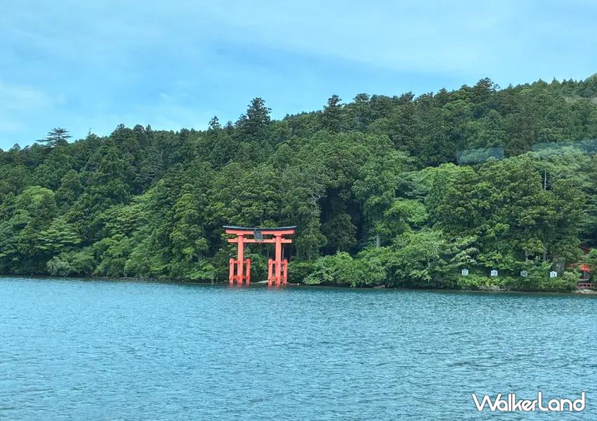 ▲在「蘆之湖」能看見著名的水上鳥居,湖面與山景絕美,天氣晴朗時還有機會遠眺富士山。(攝影:陳怡吟)