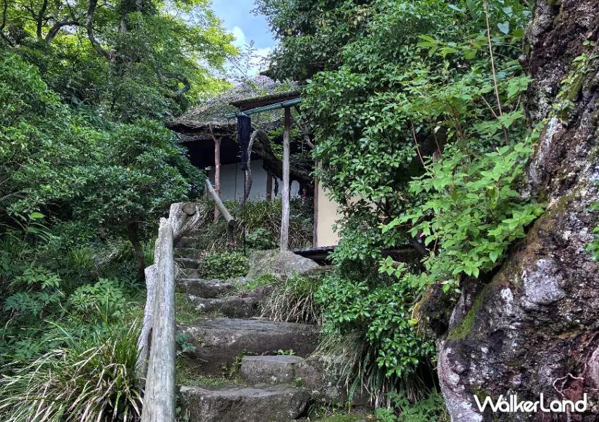 ▲「強羅公園」內藏有茶室空間,能在綠意環繞中體驗傳統茶道,搭配和菓子感受靜謐日式風情。