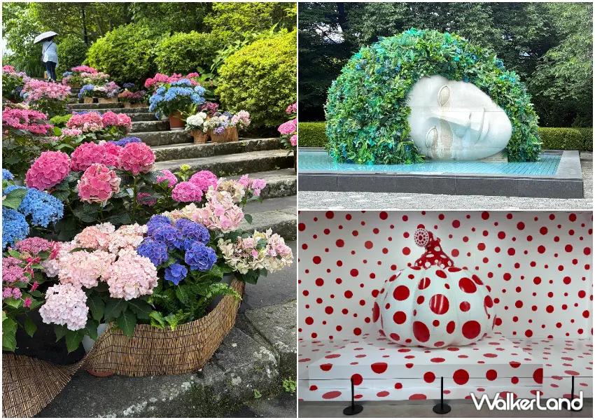 ▲箱根不只自然景色迷人,也能安排強羅公園與雕刻森林美術館,從花卉庭園一路逛到藝術展覽。