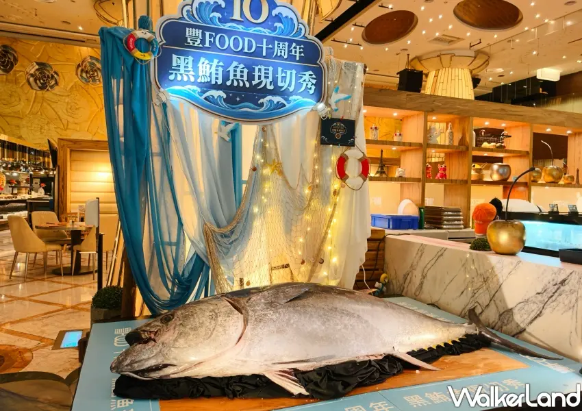 ▲豐FOOD10周年慶推出超狂活動,大直吃到飽控必衝拍照區打卡,享受夏季最強百匯盛宴。(攝影:鄭雅之)