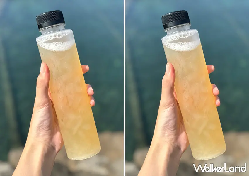 ▲貢寮美食推薦「不一樣石花凍」推薦菜單:黑糖石花凍、檸檬石花凍(攝影:蕭芷琳)