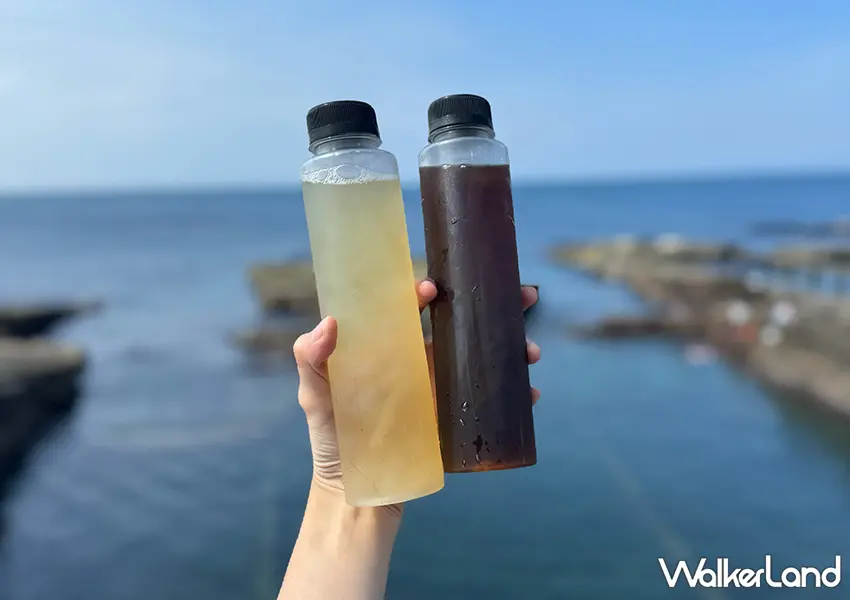 ▲貢寮美食推薦「不一樣石花凍」對面就是一覽無遺的海景(攝影:蕭芷琳)
