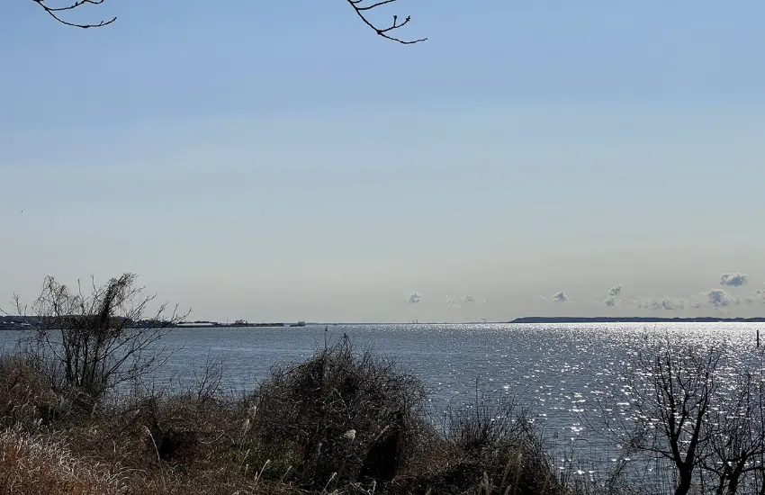 ▲茨城縣的霞ヶ浦,湖岸線總長249.5公里,由數座湖泊共同構成,總面積約220平方公里相當於一座台南市區的大小。