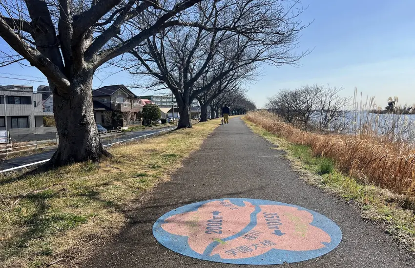 ▲第一次來霞ヶ浦騎單車,可以試試這條自土浦車站往返霞浦綜合公園的8公里路線開始。