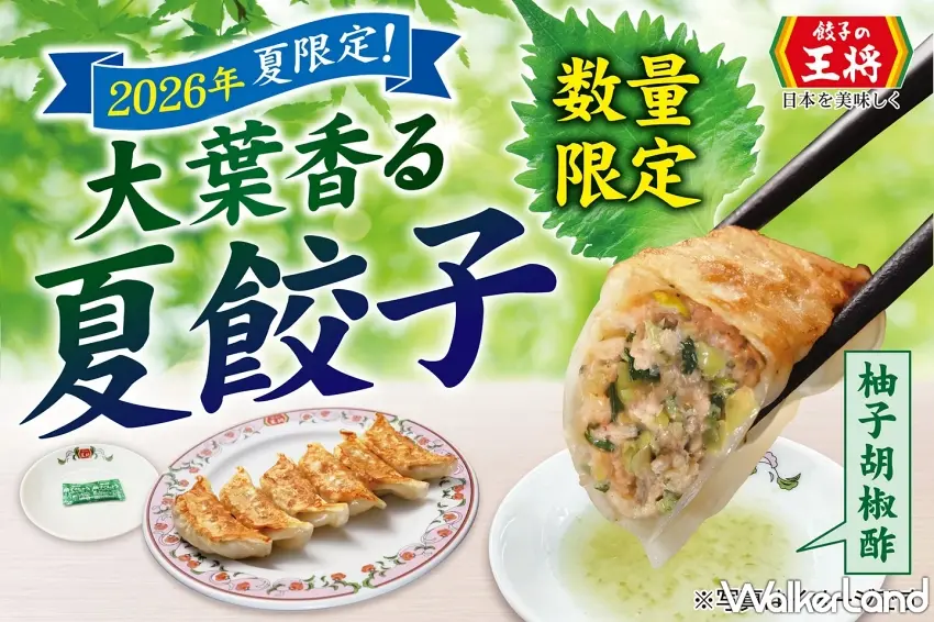 ▲日本煎餃名店首創夏季限定口味,嚴選頂級大葉打造多汁脆皮的清爽夏餃子。圖/餃子的王將提供;窩客島編輯李維唐整理