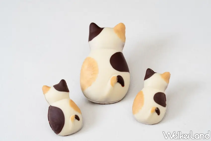 ▲限定版三毛貓點心以細緻的三色巧克力裹出超萌背影,療癒感十足。圖/BROWN TABBY提供;窩客島編輯李維唐整理