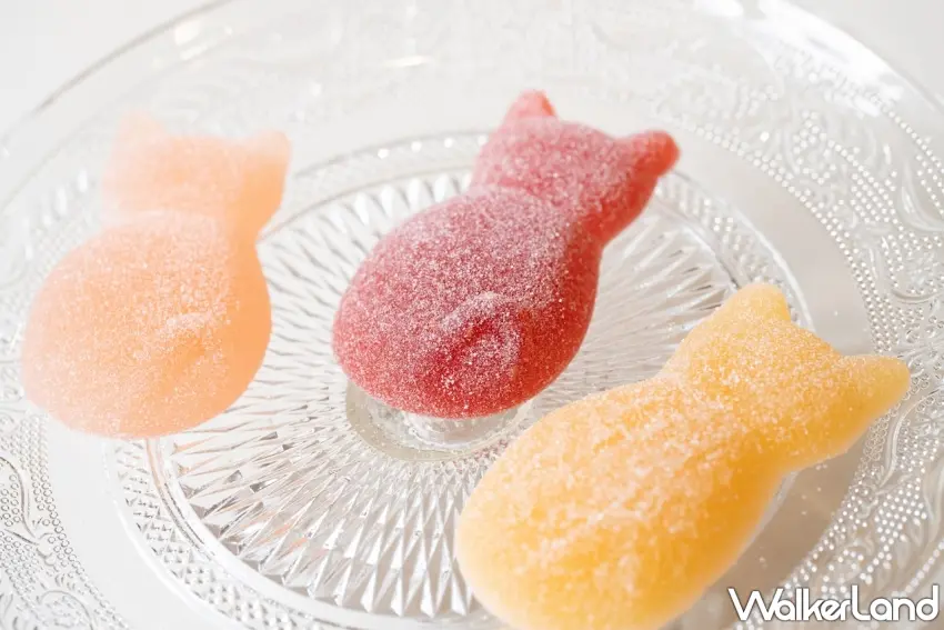 ▲夏季限定的貓咪背影法式水果軟糖,外層裹上微脆砂糖且口感細緻酸甜。圖/BROWN TABBY提供;窩客島編輯李維唐整理
