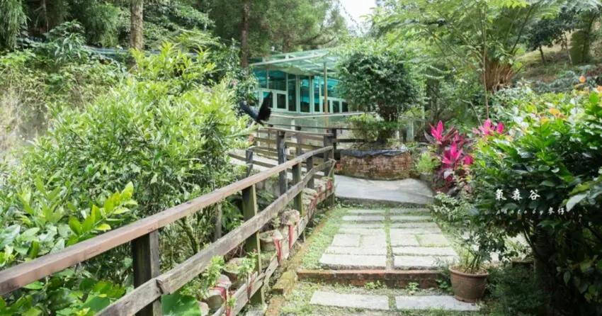 ▲「氧森谷花園餐廳」藏身坪林山林之中，螢火蟲季總會吸引不少遊客慕名而來，因環境自然少汙染，夜晚能欣賞滿山閃爍的螢光美景。