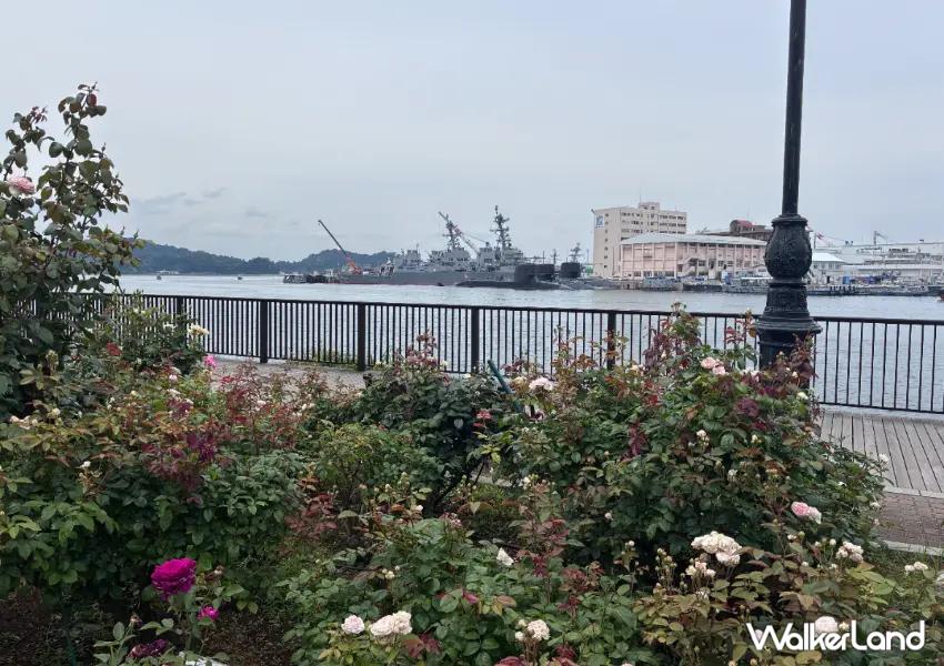 ▲「Verny 公園」可眺望橫須賀港軍艦，法式庭園與軍港風景形成獨特對比。