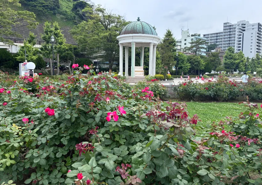 海軍咖哩吃到飽！軍艦公園、美式街區全攻略，東京近郊橫須賀一日遊。