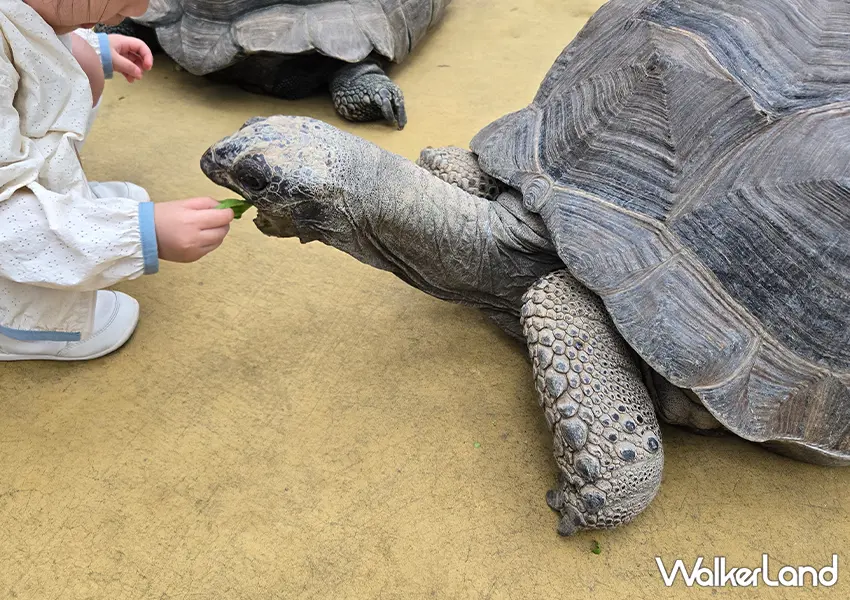 ▲趕緊把宜蘭室內景點推薦「蘭陽動植物王國」排進你的週末行程吧（攝影：蕭芷琳）