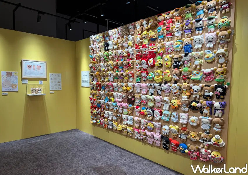 ▲拉拉熊展覽主題區一整面牆展示裝扮成各種造型的拉拉熊。(攝影：鄭亦庭)